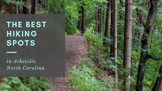 The Best Hiking Spots in Asheville, North Carolina