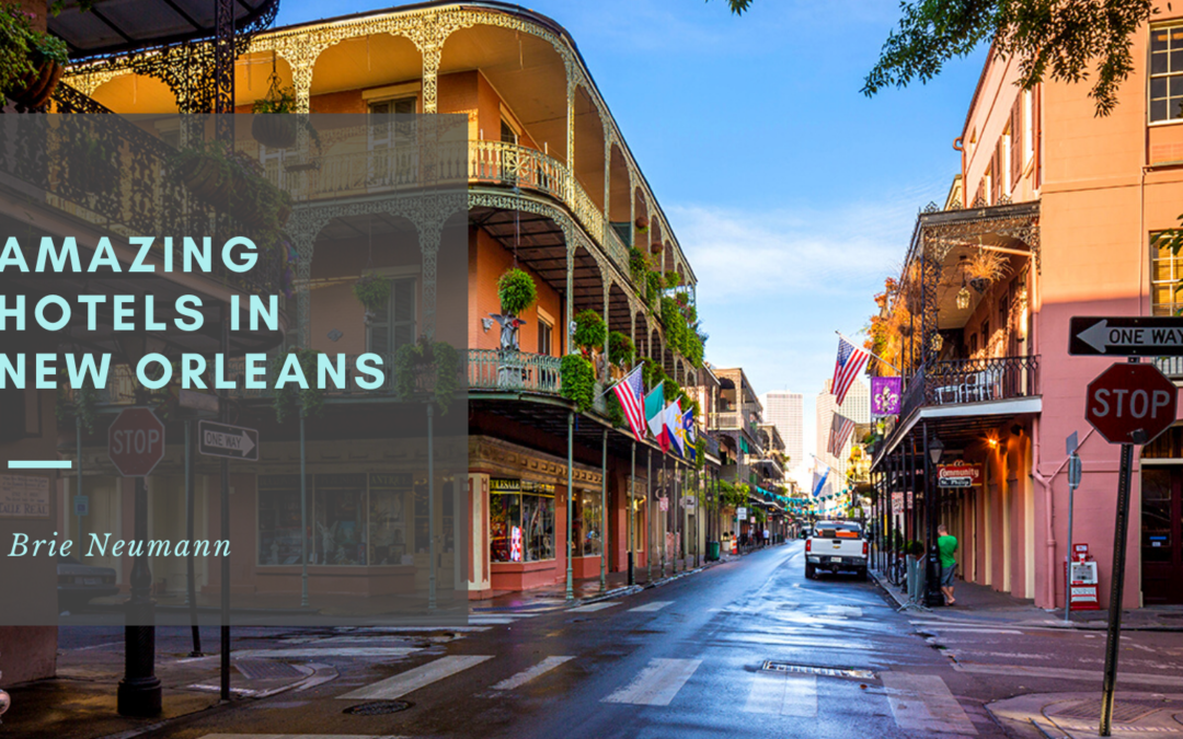 Amazing Hotels in New Orleans
